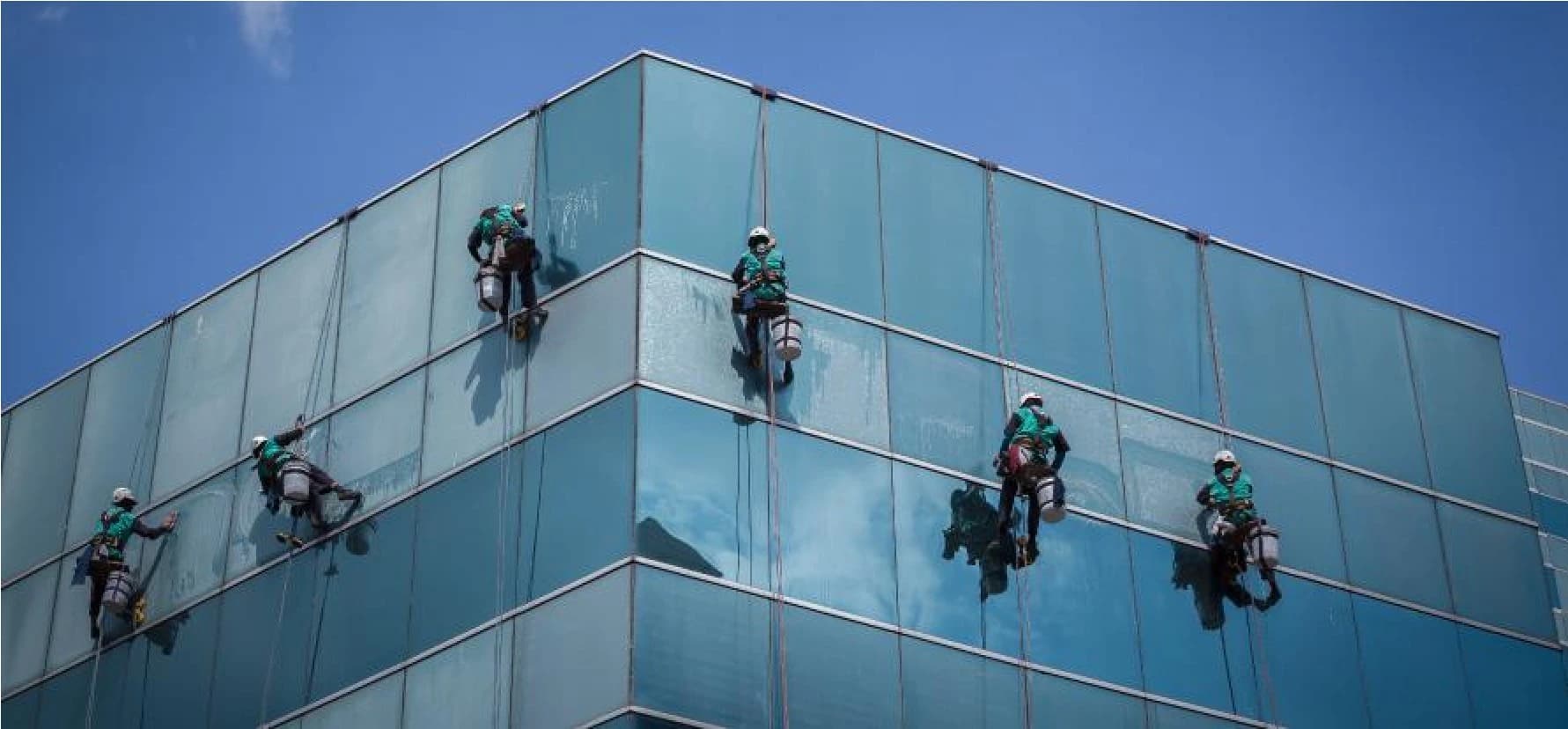 Specialized Services - Technical specialist performing maintenance